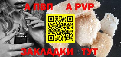 стаф Кингисепп