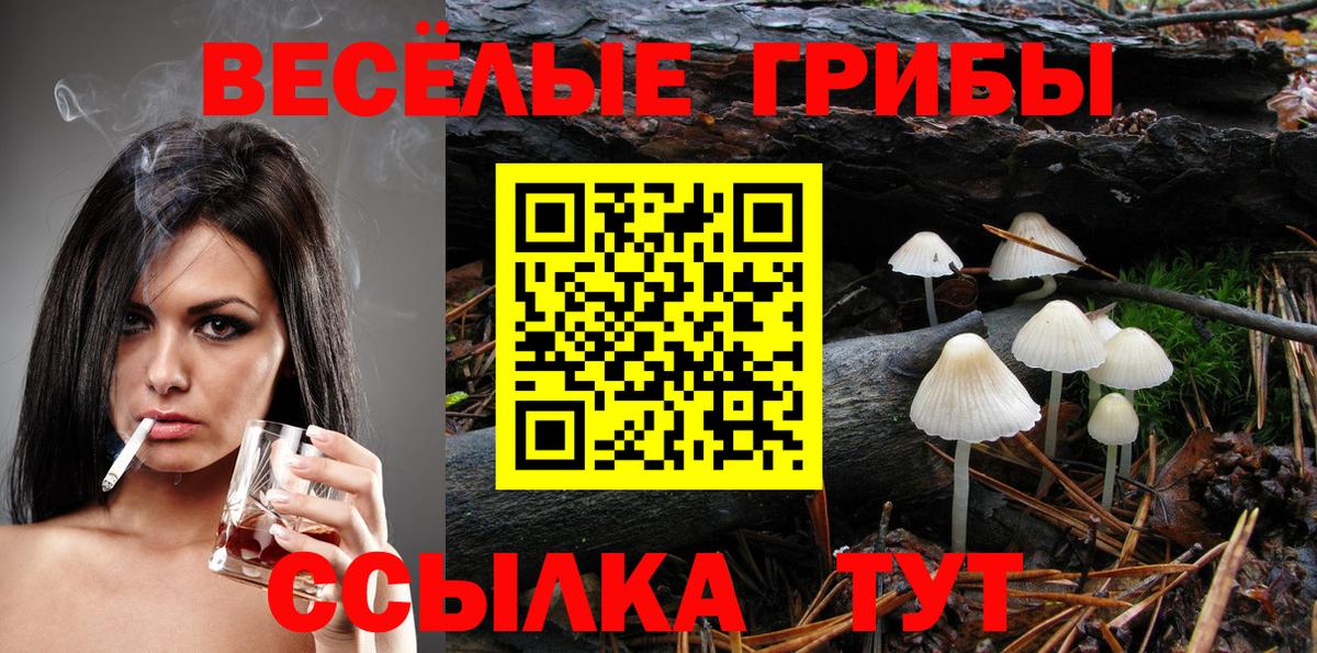 магазин продажи   Галлюциногенные грибы MAGIC MUSHROOMS  Вход с VPN  Азов 